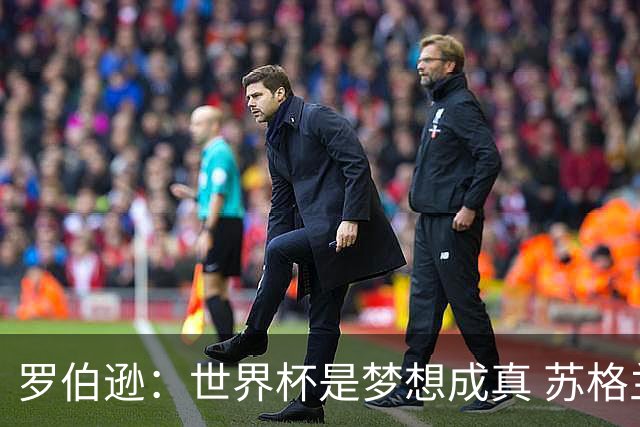 罗伯逊：世界杯是梦想成真 苏格兰已从上届欧洲杯吸取教训